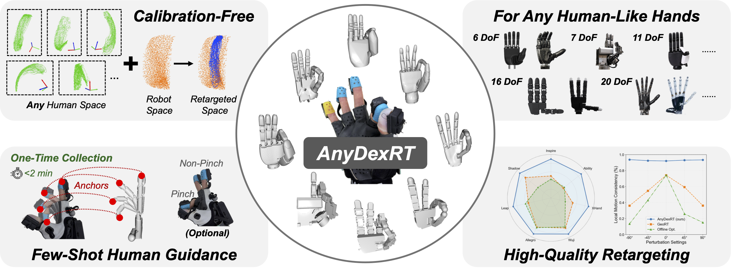 AnyDexRT teaser overview